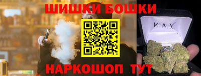 индика Кунгур